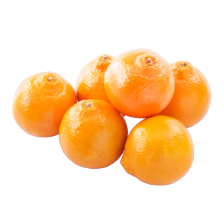 Minneola